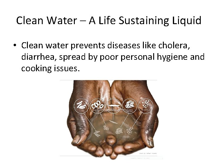 Clean Water – A Life Sustaining Liquid • Clean water prevents diseases like cholera,