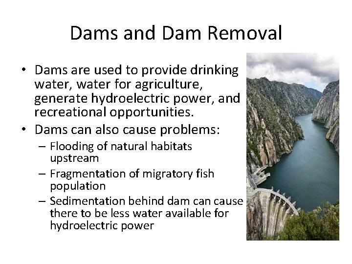 Dams and Dam Removal • Dams are used to provide drinking water, water for