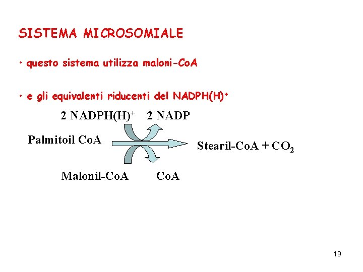 SISTEMA MICROSOMIALE • questo sistema utilizza maloni-Co. A • e gli equivalenti riducenti del