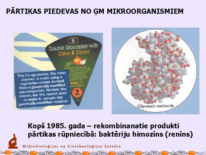 PĀRTIKAS PIEDEVAS NO ĢM MIKROORGANISMIEM Kopš 1985. gada – rekombinanatie produkti pārtikas rūpniecībā: baktēriju