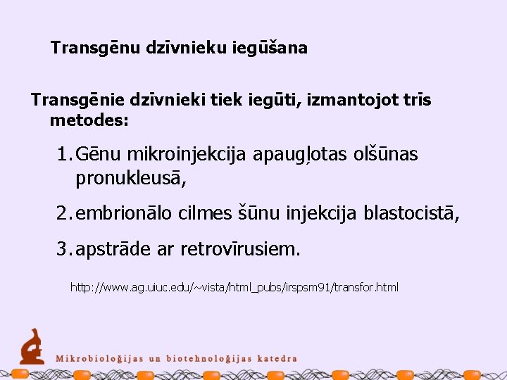 Transgēnu dzīvnieku iegūšana Transgēnie dzīvnieki tiek iegūti, izmantojot trīs metodes: 1. Gēnu mikroinjekcija apaugļotas