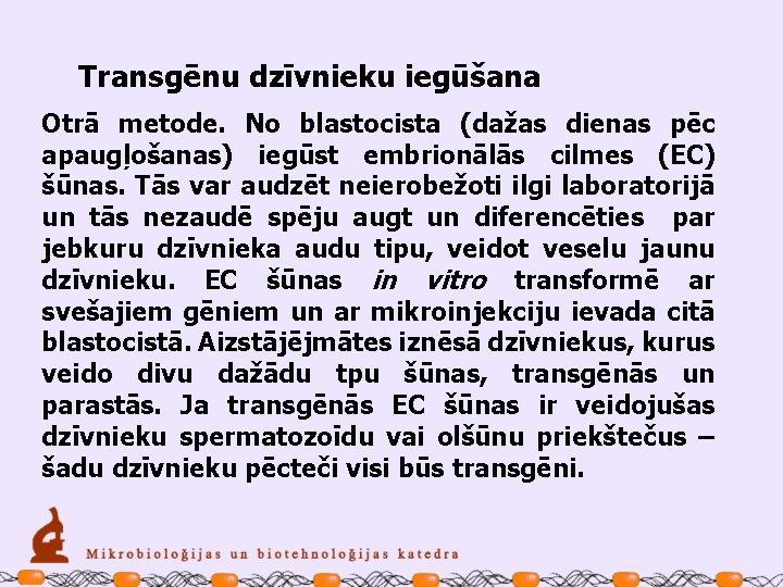 Transgēnu dzīvnieku iegūšana Otrā metode. No blastocista (dažas dienas pēc apaugļošanas) iegūst embrionālās cilmes