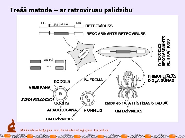 Trešā metode – ar retrovīrusu palīdzību 