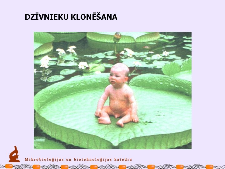 DZĪVNIEKU KLONĒŠANA 