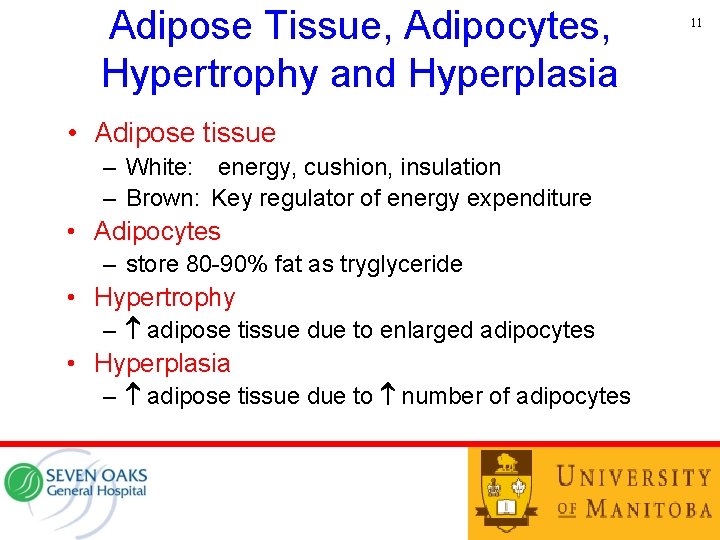 Adipose Tissue, Adipocytes, Hypertrophy and Hyperplasia • Adipose tissue – White: energy, cushion, insulation