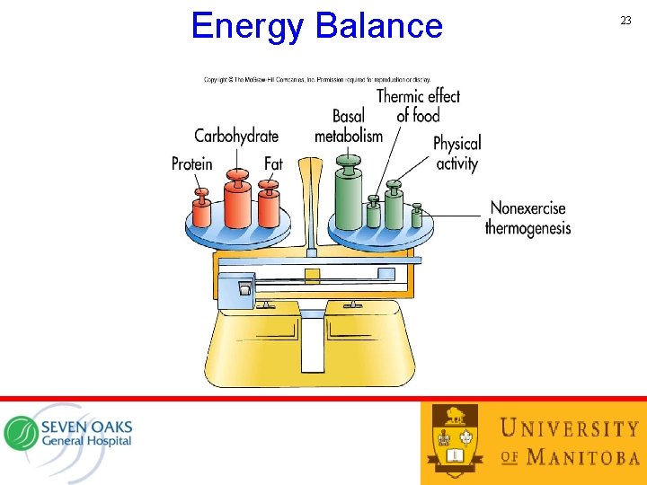 Energy Balance 23 