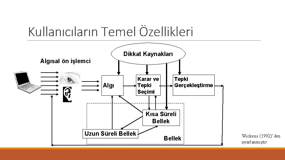 Kullanıcıların Temel Özellikleri Dikkat Kaynakları Algısal ön işlemci Algı Karar ve Tepki Seçimi Tepki