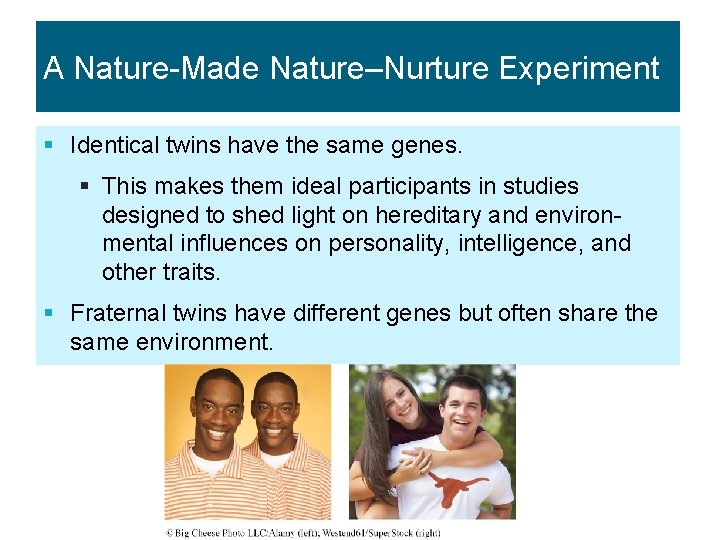 A Nature-Made Nature–Nurture Experiment § Identical twins have the same genes. § This makes