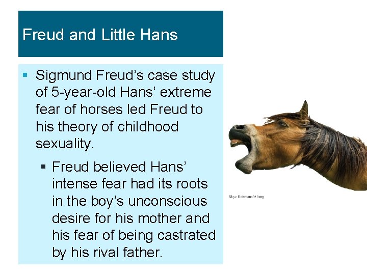 Freud and Little Hans § Sigmund Freud’s case study of 5 -year-old Hans’ extreme