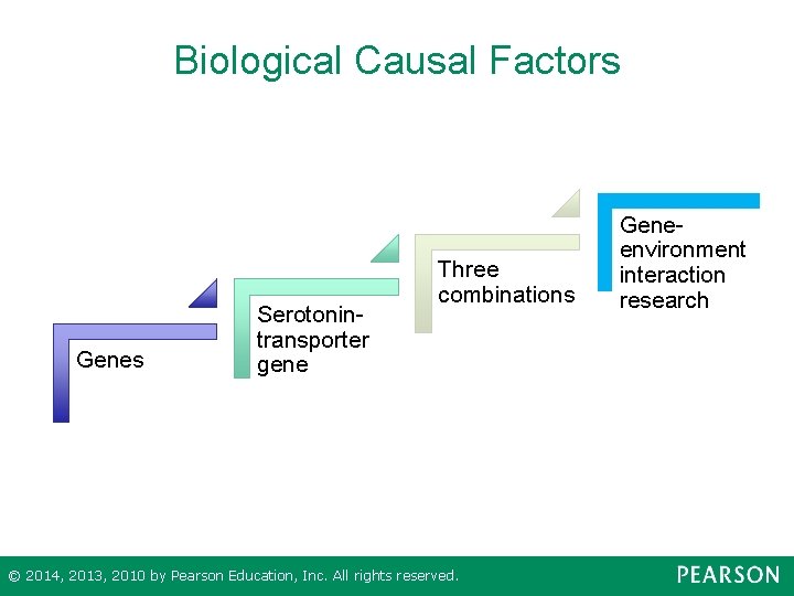 Biological Causal Factors Genes Serotonintransporter gene Three combinations © 2014, 2013, 2010 by Pearson