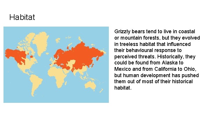 Habitat Grizzly bears tend to live in coastal or mountain forests, but they evolved