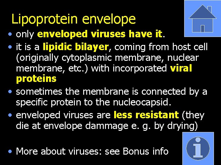 Lipoprotein envelope • only enveloped viruses have it. • it is a lipidic bilayer,