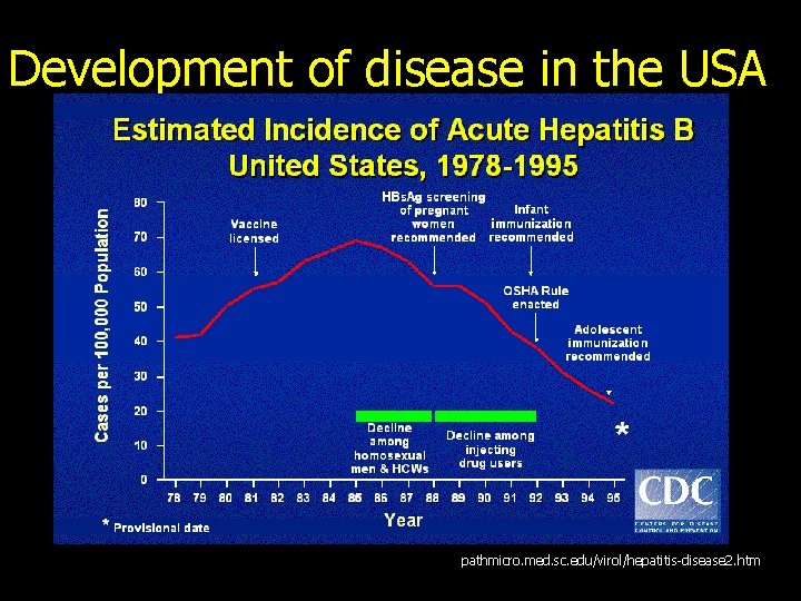 Development of disease in the USA pathmicro. med. sc. edu/virol/hepatitis-disease 2. htm 