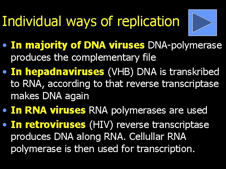 Individual ways of replication • In majority of DNA viruses DNA-polymerase produces the complementary