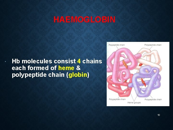 HAEMOGLOBIN Hb molecules consist 4 chains each formed of heme & polypeptide chain (globin) HAEMOGLOBIN Hb molecules consist 4 chains each formed of heme & polypeptide chain (globin)