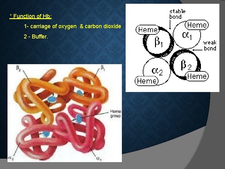 * Function of Hb: 1 - carriage of oxygen & carbon dioxide 2 - * Function of Hb: 1 - carriage of oxygen & carbon dioxide 2 -
