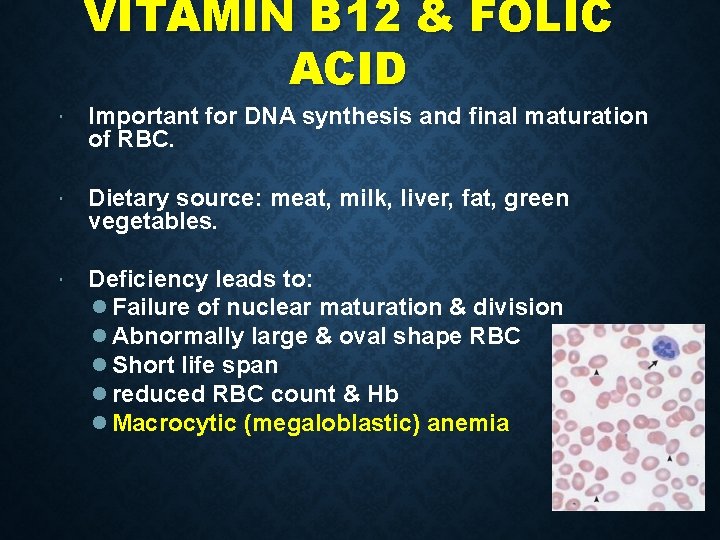 VITAMIN B 12 & FOLIC ACID Important for DNA synthesis and final maturation of VITAMIN B 12 & FOLIC ACID Important for DNA synthesis and final maturation of