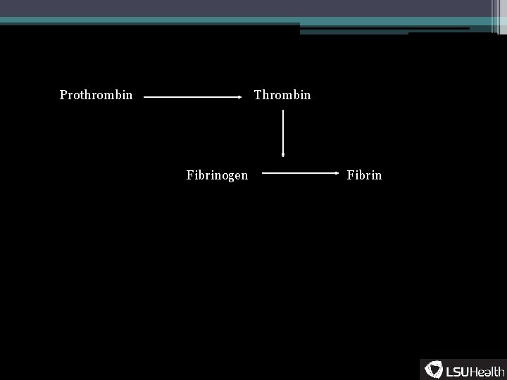 Prothrombin Thrombin Fibrinogen Fibrin 