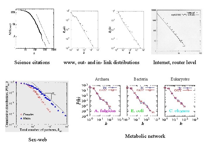 Science citations www, out- and in- link distributions Archaea Bacteria Sex-web Internet, router level