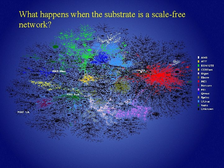What happens when the substrate is a scale-free network? 