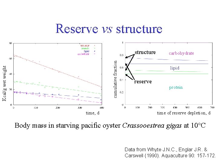 Reserve vs structure Kcal/g wet weight cumulative fraction structure time, d carbohydrate lipid reserve