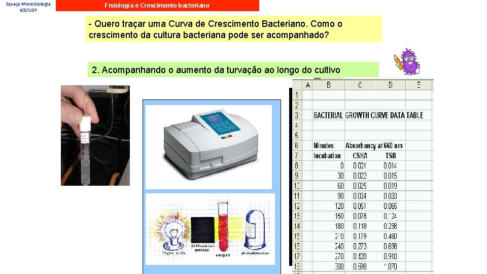 Espaço Microbiologia ICB/USP Fisiologia e Crescimento bacteriano - Quero traçar uma Curva de Crescimento