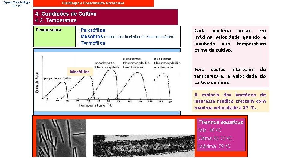 Espaço Microbiologia ICB/USP Fisiologia e Crescimento bacteriano 4. Condições de Cultivo 4. 2. Temperatura