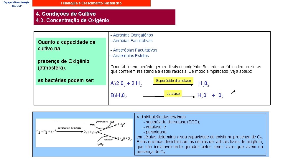 Espaço Microbiologia ICB/USP Fisiologia e Crescimento bacteriano 4. Condições de Cultivo 4. 3. Concentração