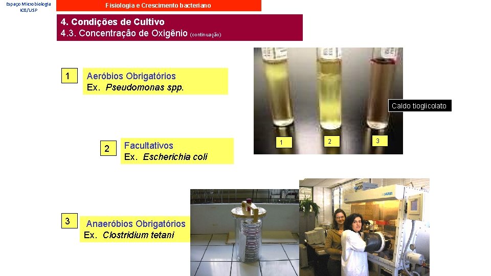 Espaço Microbiologia ICB/USP Fisiologia e Crescimento bacteriano 4. Condições de Cultivo 4. 3. Concentração