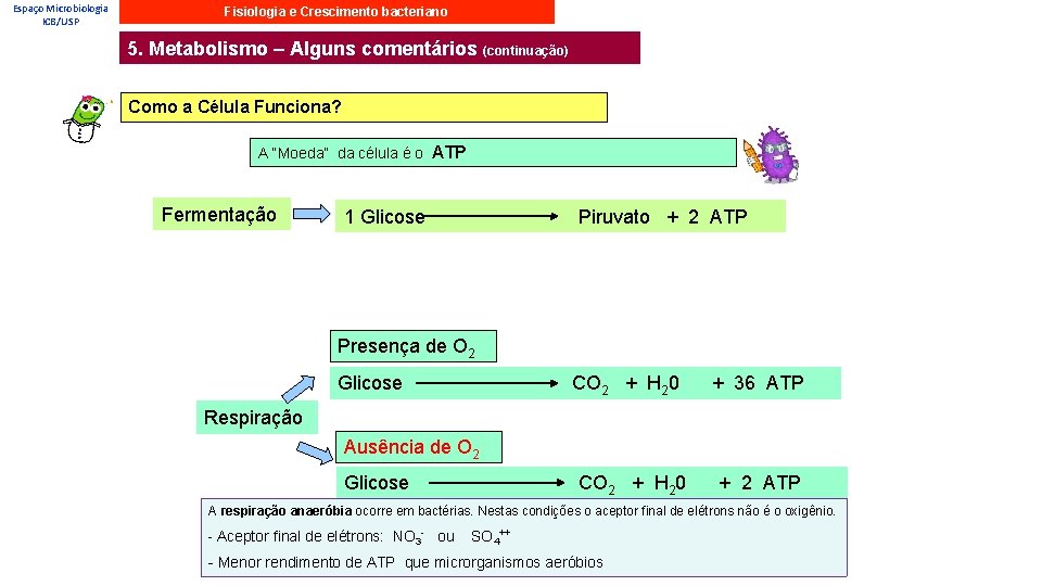 Espaço Microbiologia ICB/USP Fisiologia e Crescimento bacteriano 5. Metabolismo – Alguns comentários (continuação) Como