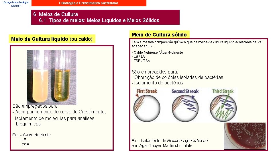 Espaço Microbiologia ICB/USP Fisiologia e Crescimento bacteriano 6. Meios de Cultura 6. 1. Tipos