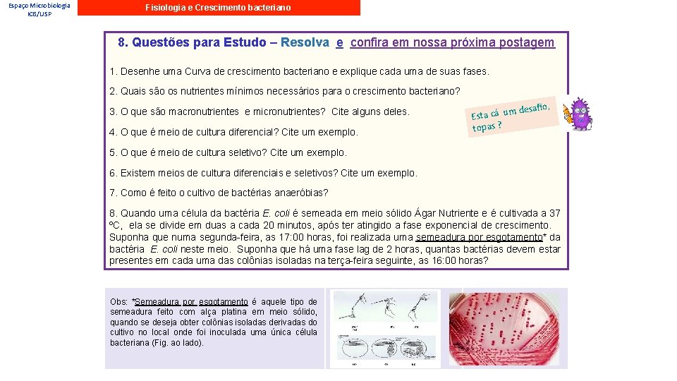 Espaço Microbiologia ICB/USP Fisiologia e Crescimento bacteriano 8. Questões para Estudo – Resolva e