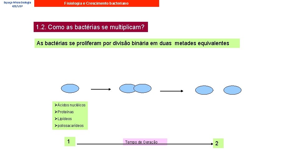 Espaço Microbiologia ICB/USP Fisiologia e Crescimento bacteriano 1. 2. Como as bactérias se multiplicam?