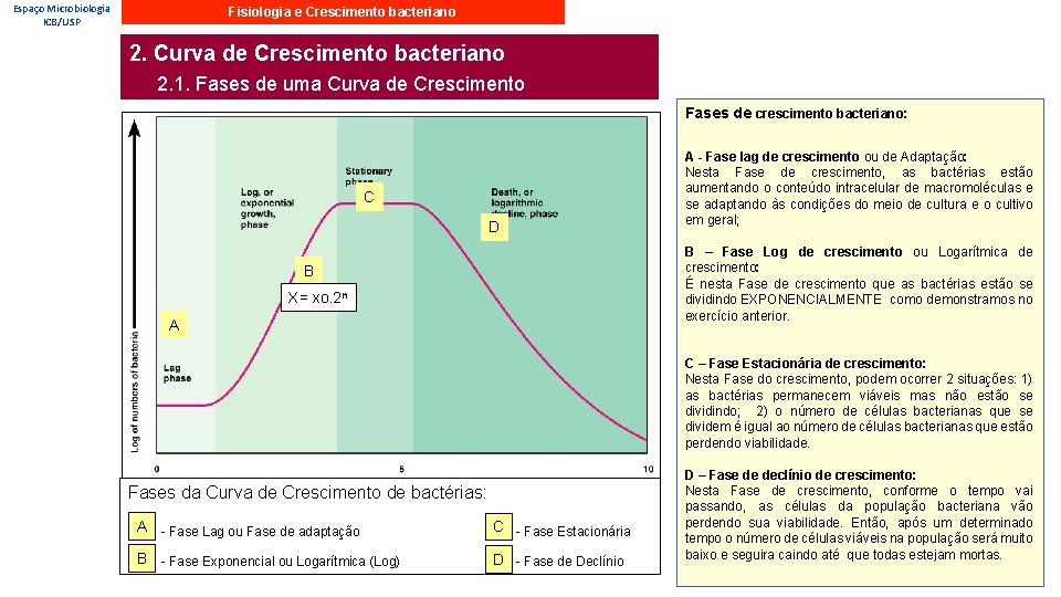 Espaço Microbiologia ICB/USP Fisiologia e Crescimento bacteriano 2. Curva de Crescimento bacteriano 2. 1.