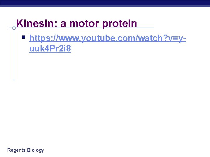 Kinesin: a motor protein § https: //www. youtube. com/watch? v=yuuk 4 Pr 2 i