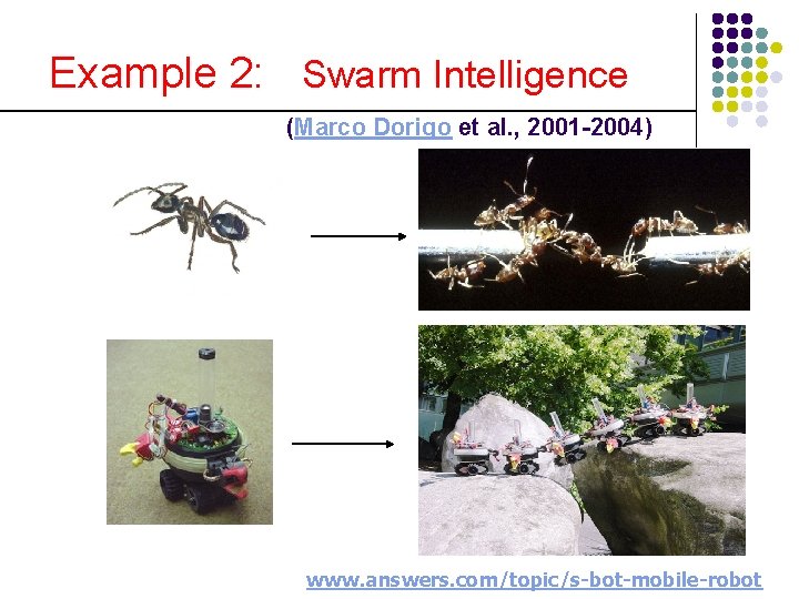 Example 2: Swarm Intelligence (Marco Dorigo et al. , 2001 -2004) www. answers. com/topic/s-bot-mobile-robot