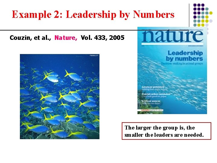 Example 2: Leadership by Numbers Couzin, et al. , Nature, Vol. 433, 2005 The