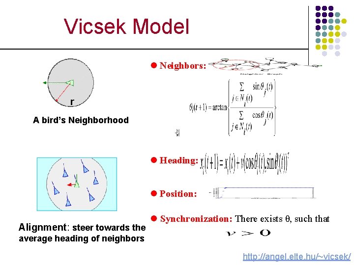 Vicsek Model l Neighbors: r A bird’s Neighborhood l Heading: l Position: Alignment: steer