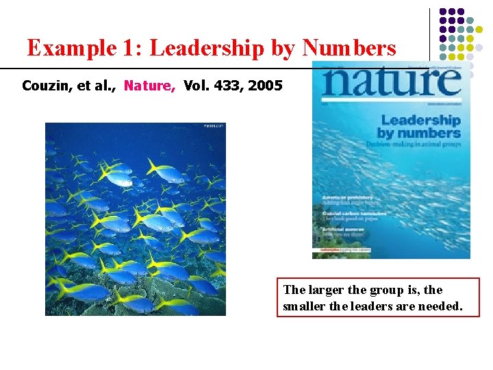 Example 1: Leadership by Numbers Couzin, et al. , Nature, Vol. 433, 2005 The