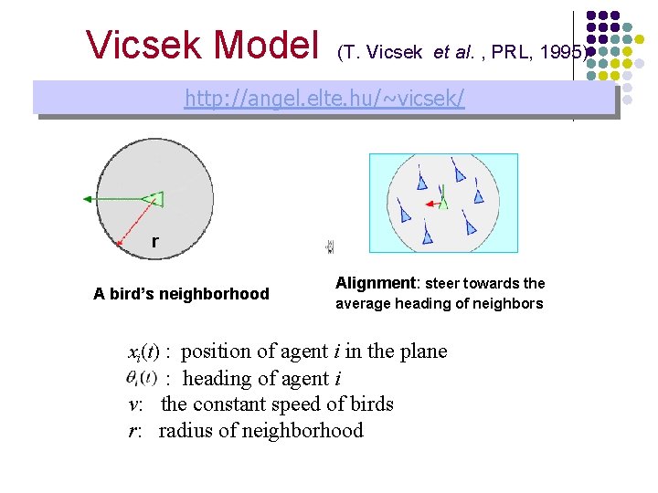 Vicsek Model (T. Vicsek et al. , PRL, 1995) http: //angel. elte. hu/~vicsek/ r