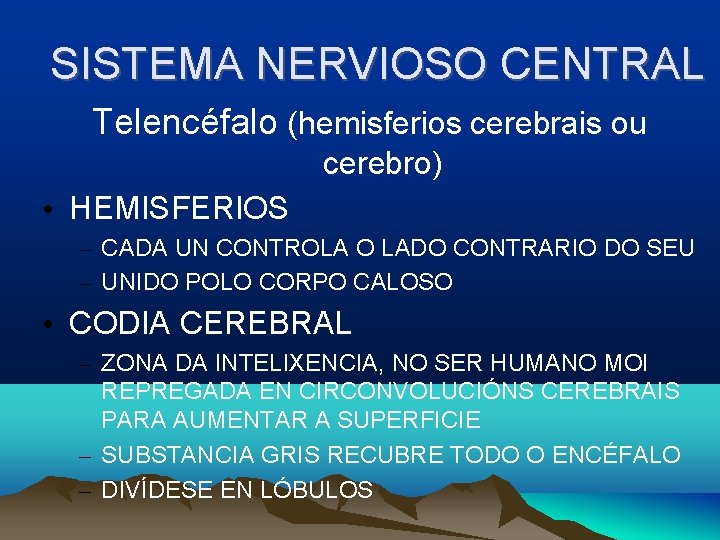 SISTEMA NERVIOSO CENTRAL Telencéfalo (hemisferios cerebrais ou cerebro) • HEMISFERIOS – CADA UN CONTROLA