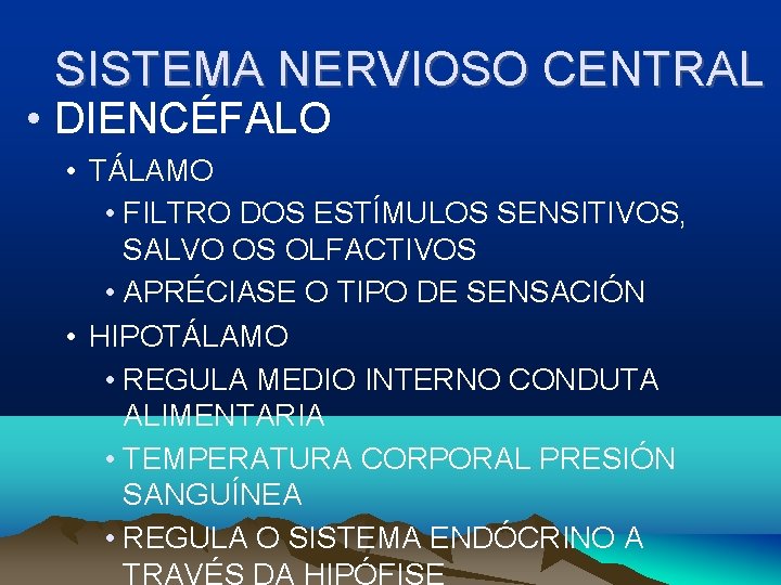 SISTEMA NERVIOSO CENTRAL • DIENCÉFALO • TÁLAMO • FILTRO DOS ESTÍMULOS SENSITIVOS, SALVO OS