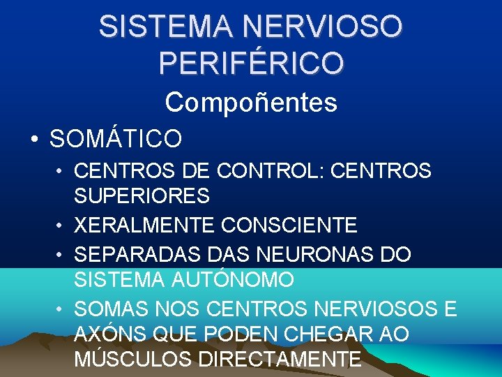 SISTEMA NERVIOSO PERIFÉRICO Compoñentes • SOMÁTICO • CENTROS DE CONTROL: CENTROS SUPERIORES • XERALMENTE