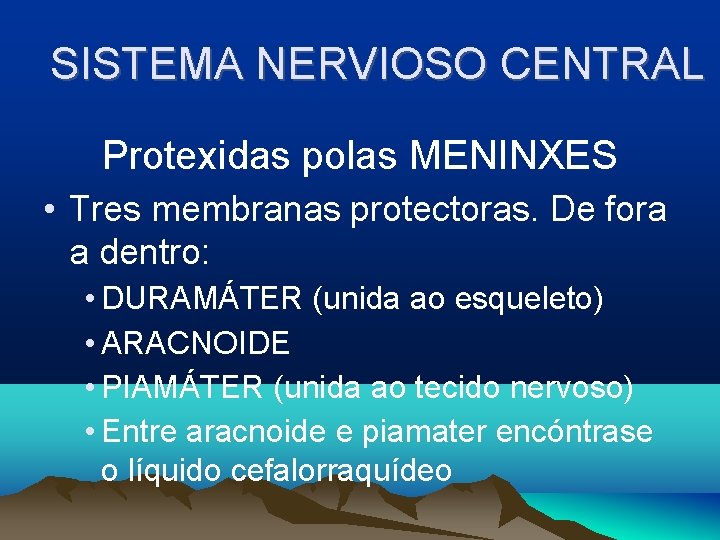 SISTEMA NERVIOSO CENTRAL Protexidas polas MENINXES • Tres membranas protectoras. De fora a dentro: