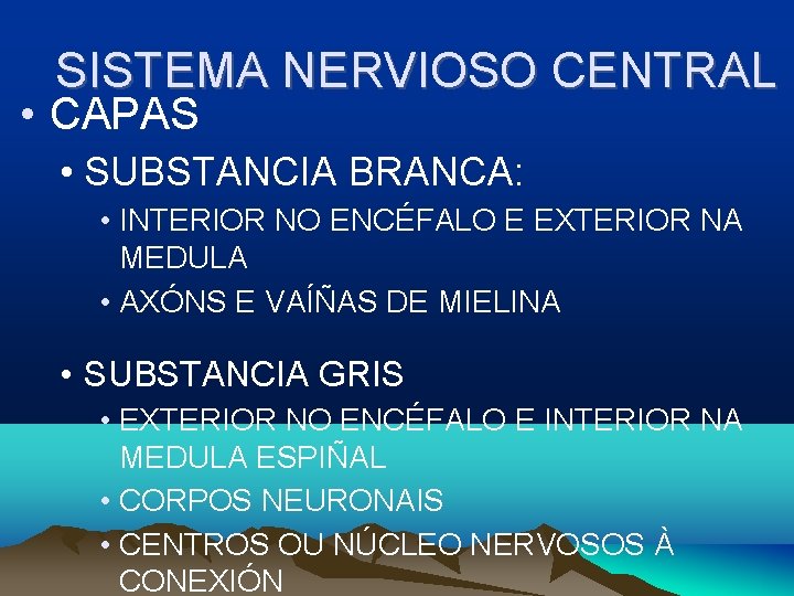 SISTEMA NERVIOSO CENTRAL • CAPAS • SUBSTANCIA BRANCA: • INTERIOR NO ENCÉFALO E EXTERIOR