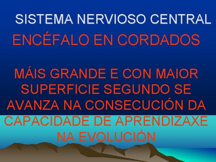 SISTEMA NERVIOSO CENTRAL ENCÉFALO EN CORDADOS MÁIS GRANDE E CON MAIOR SUPERFICIE SEGUNDO SE