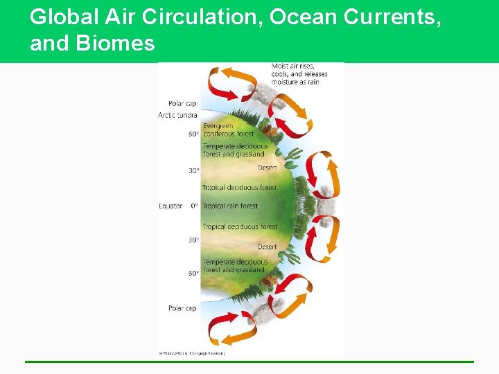 Global Air Circulation, Ocean Currents, and Biomes 