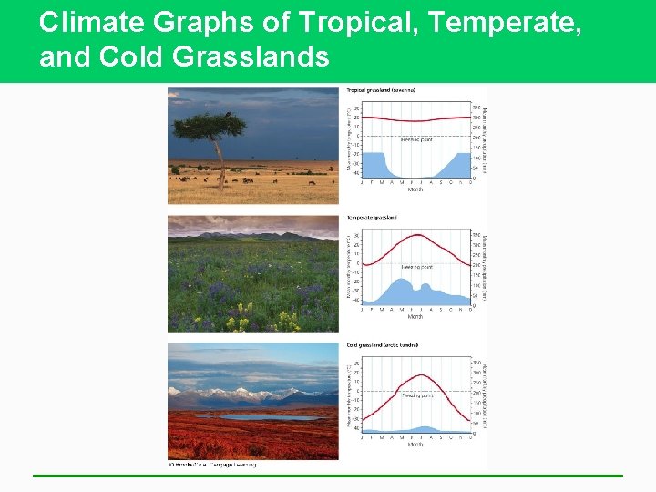 Climate Graphs of Tropical, Temperate, and Cold Grasslands 