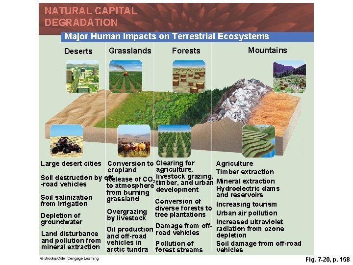 NATURAL CAPITAL DEGRADATION Major Human Impacts on Terrestrial Ecosystems Deserts Grasslands Forests Large desert