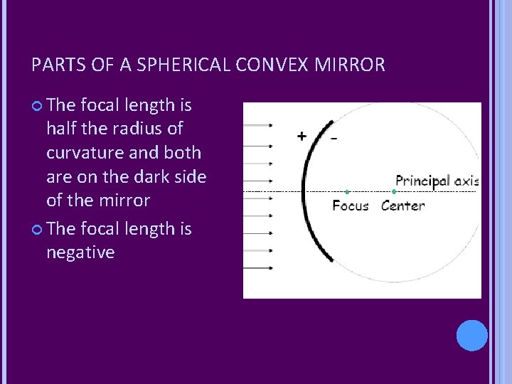 PARTS OF A SPHERICAL CONVEX MIRROR The focal length is half the radius of